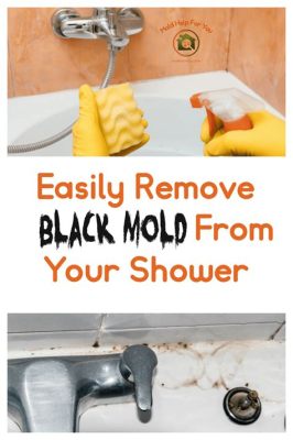 How to Clean Mold Off Shower Curtain: A Comprehensive Guide to Battling Bathroom Fungi and Beyond